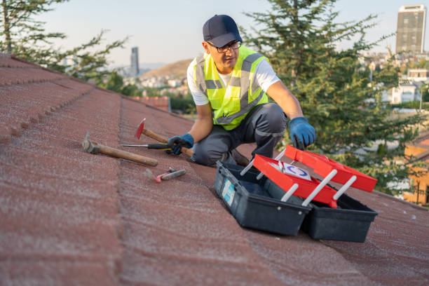 Best Fascia and Soffit Installation  in Dadeville, AL